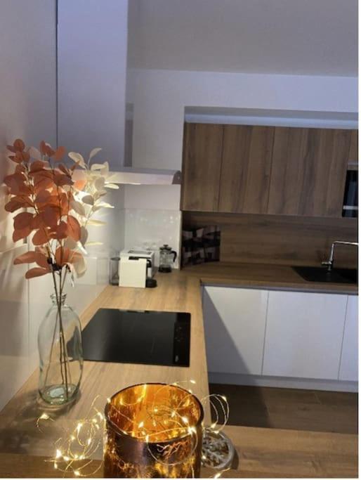 Ferienwohnung Le Doux Meleze Saint-Chaffrey Exterior foto